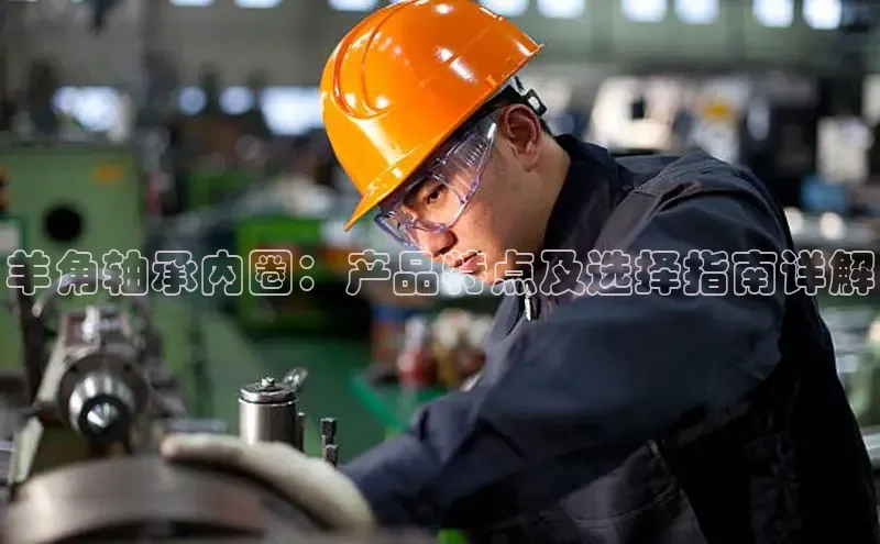 半岛官网入口网页版